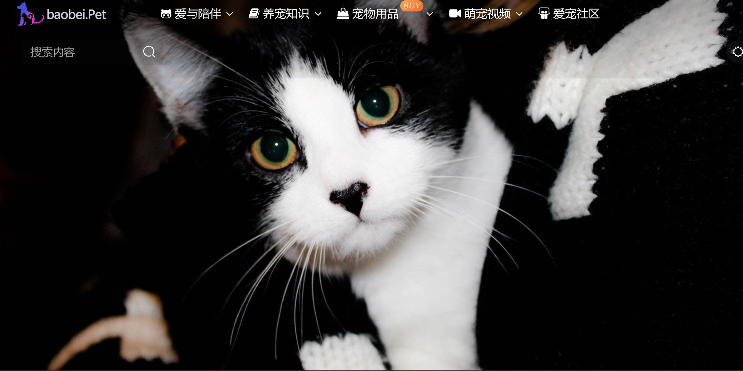baobei.pet