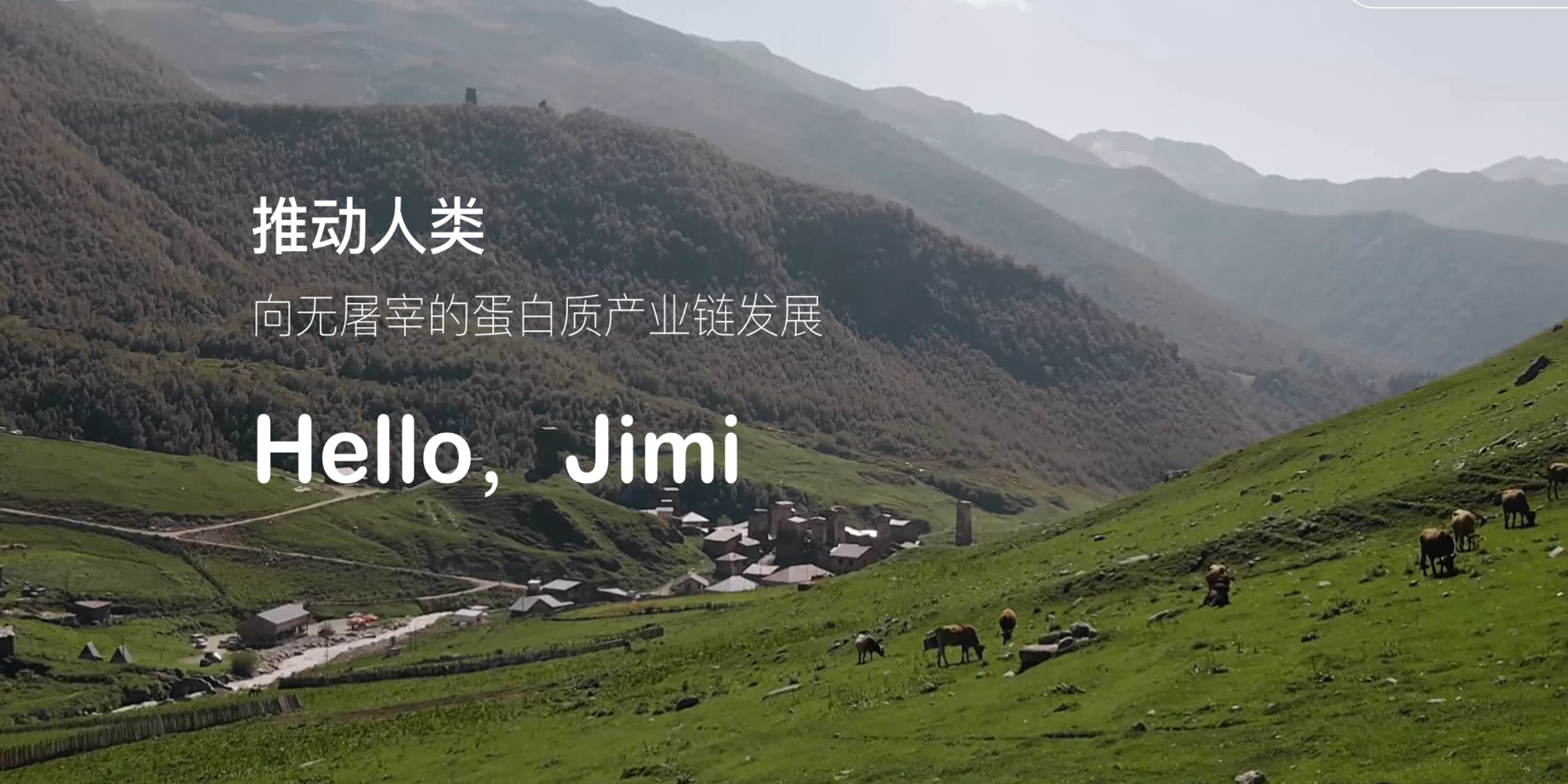 jimi.bio